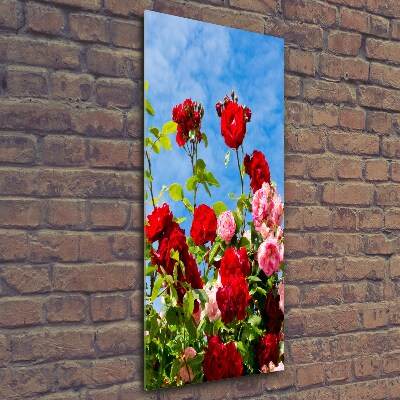 Photo printed on glass Wild Rose