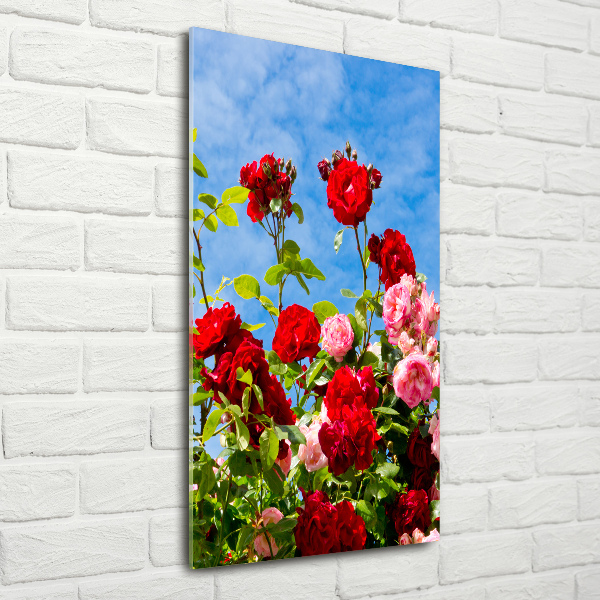 Photo printed on glass Wild Rose