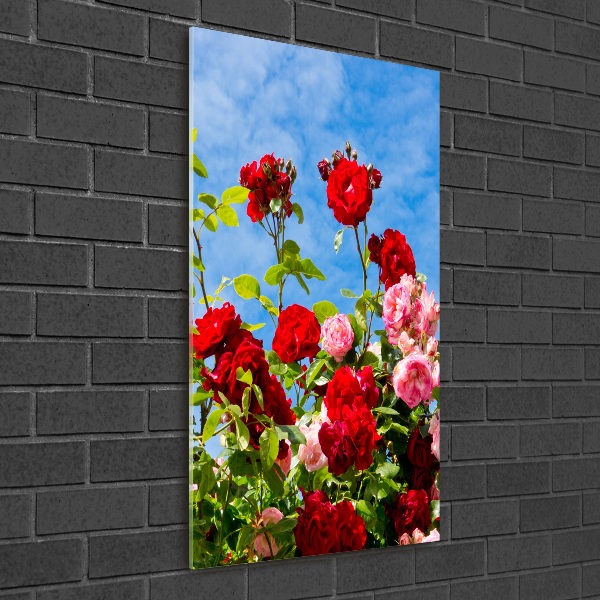 Photo printed on glass Wild Rose