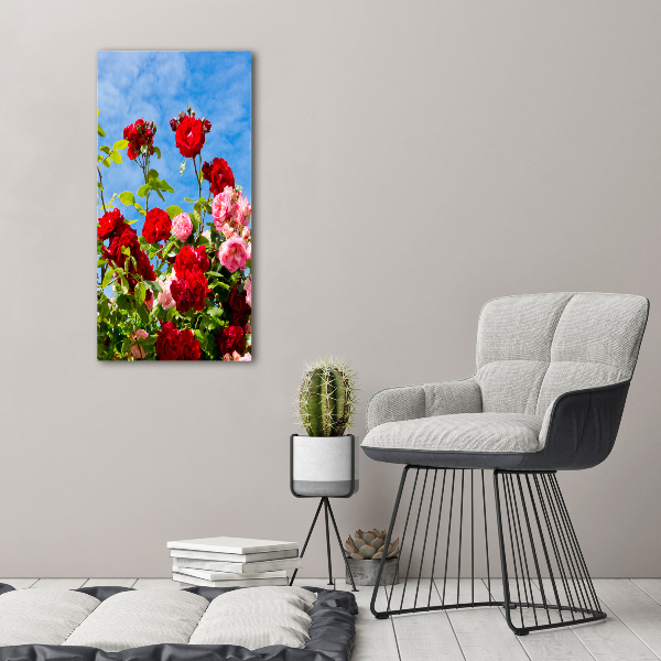 Photo printed on glass Wild Rose