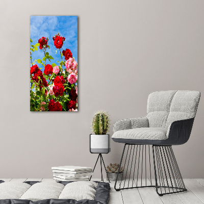 Photo printed on glass Wild Rose