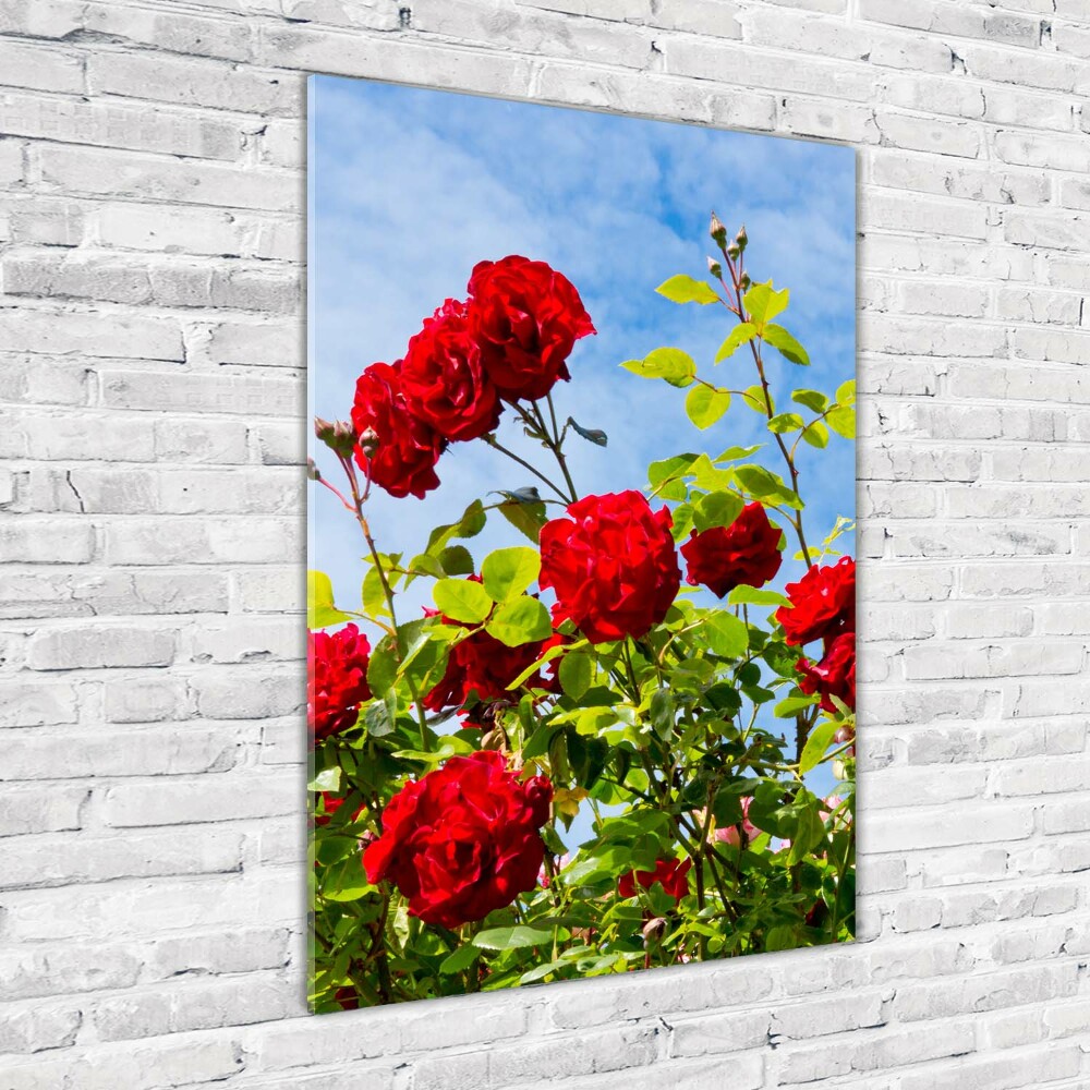 Photo printed on glass Wild Rose