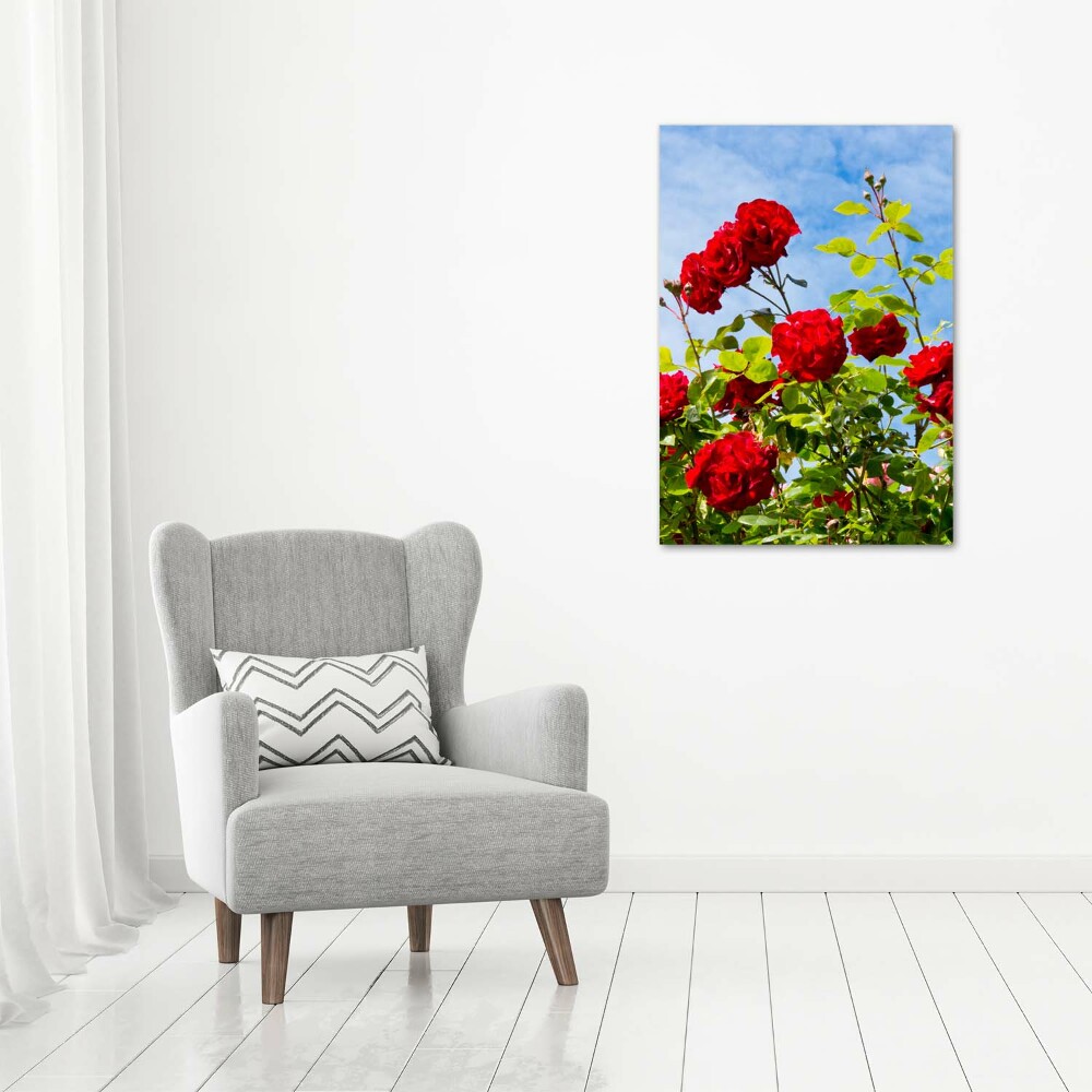 Photo printed on glass Wild Rose