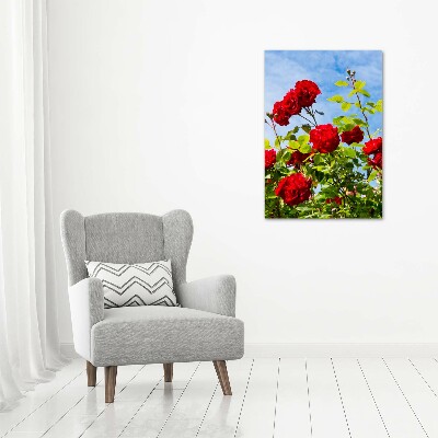 Photo printed on glass Wild Rose