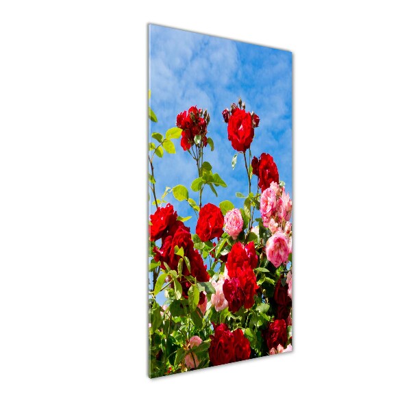 Photo printed on glass Wild Rose