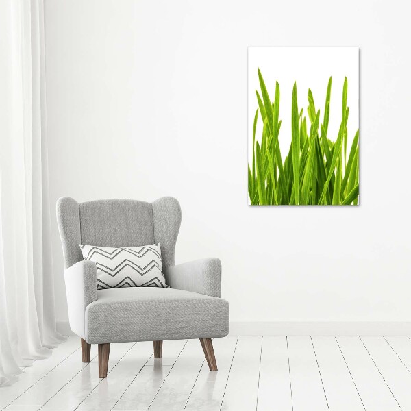 Photo printed on glass green grass