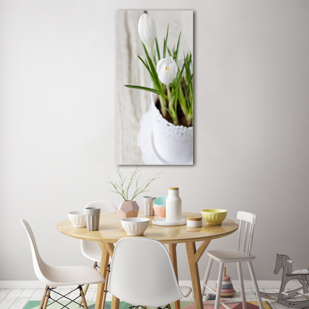 Photo printed on glass White crocuses