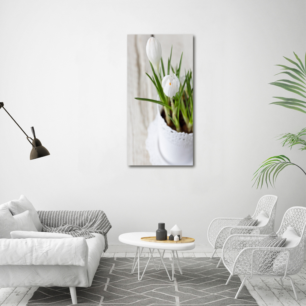 Photo printed on glass White crocuses