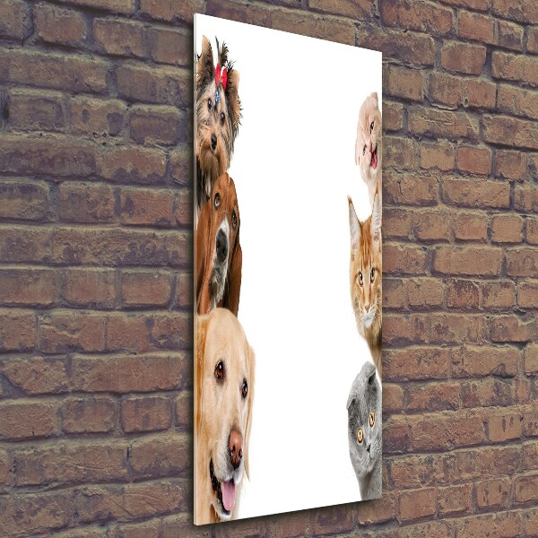 Wall art on glass Dogs and cats