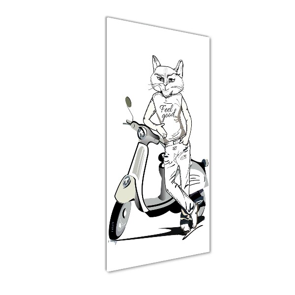 Photo printed on glass Cat