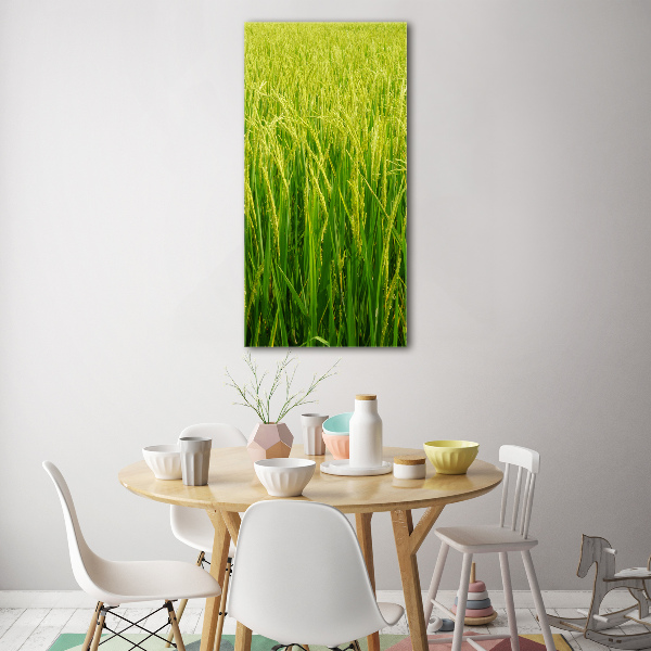 Photo printed on glass Rice plantation