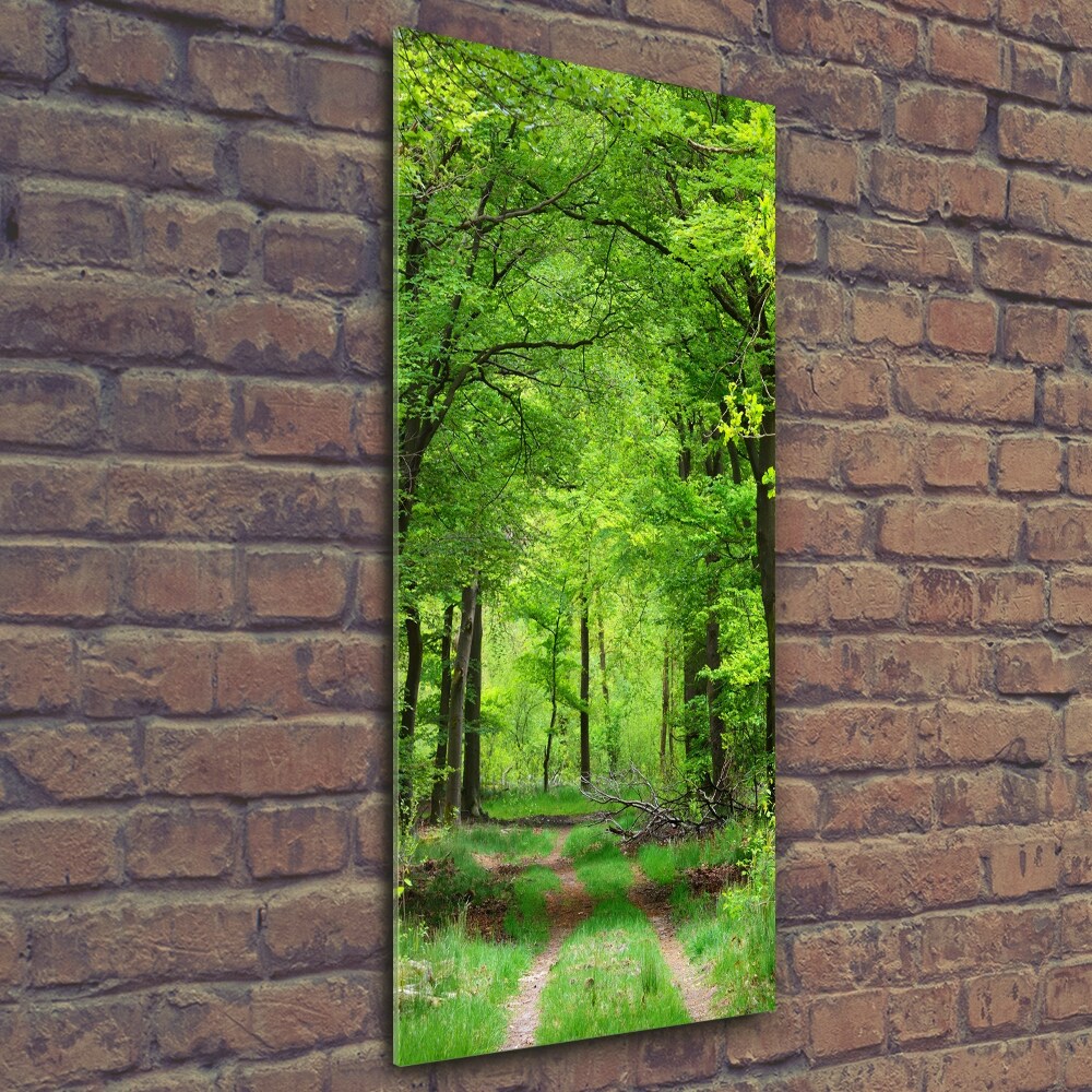 Print on a a glass Green Forest