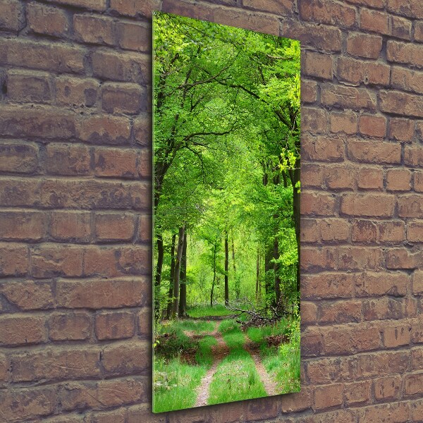 Print on a a glass Green Forest