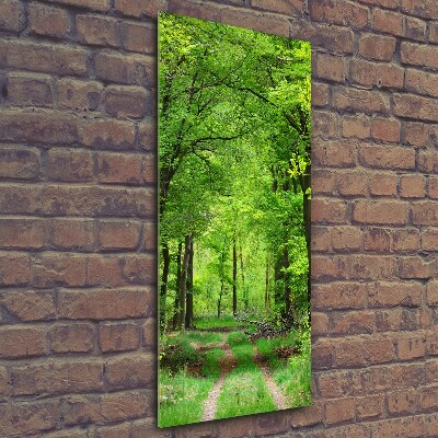 Print on a a glass Green Forest