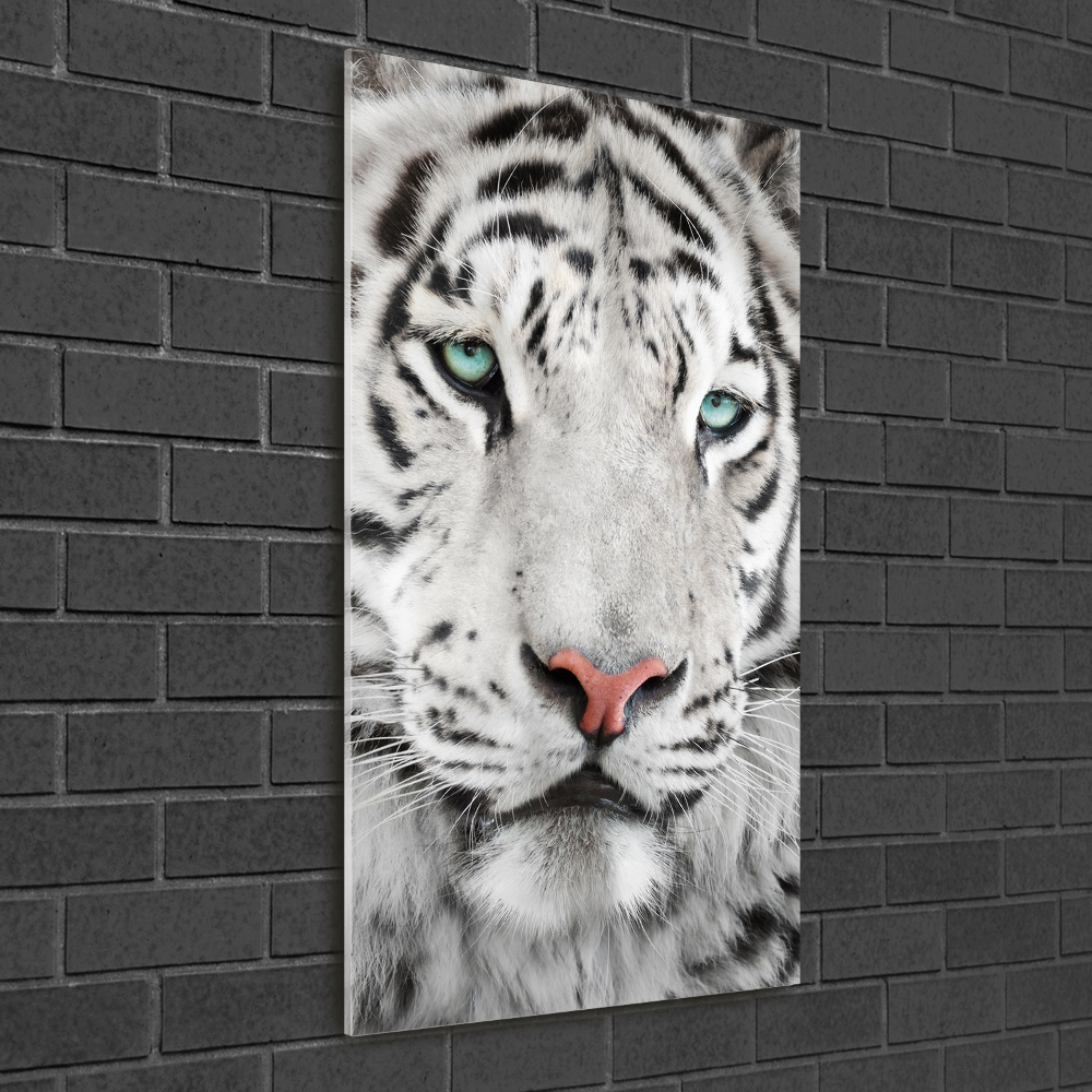 Wall art on glass White Tiger