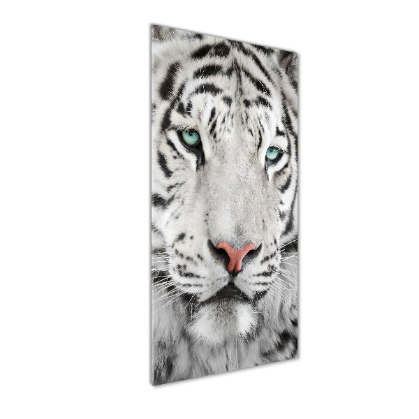 Wall art on glass White Tiger