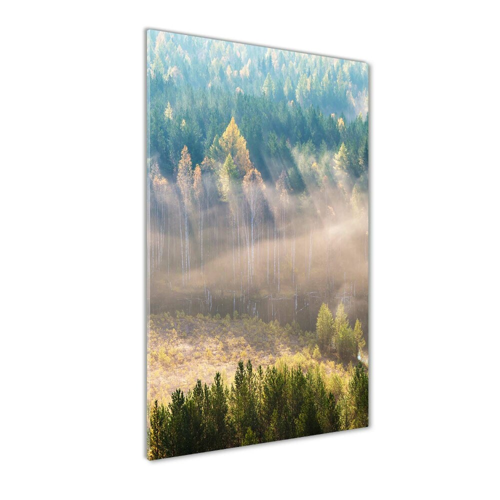 Glass art picture Fog over the forest