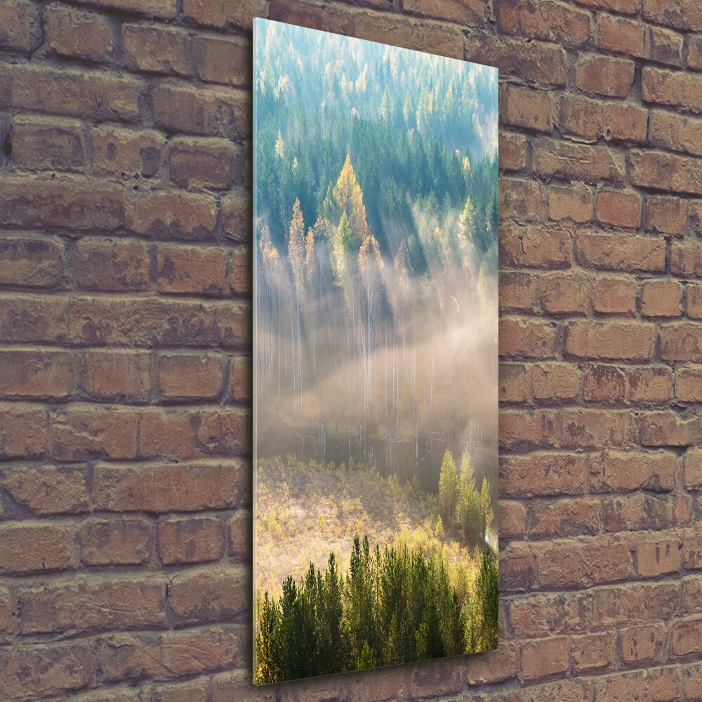 Glass art picture Fog over the forest