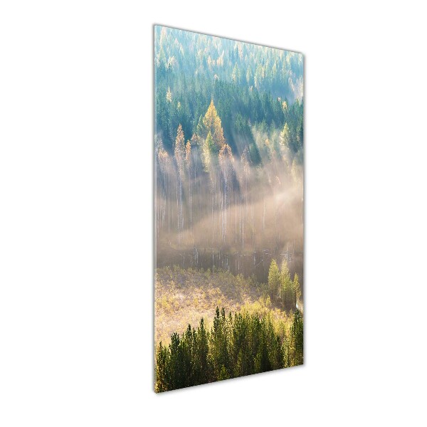 Glass art picture Fog over the forest