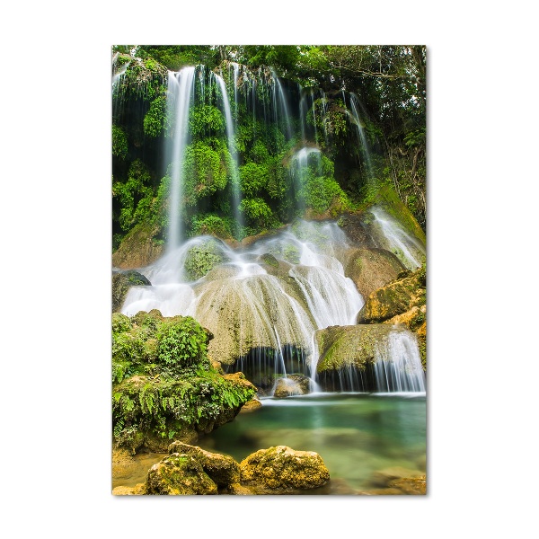 Photo printed on glass Waterfall in the jungle