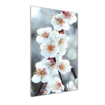 Glass picture wall art Cherry blossoms