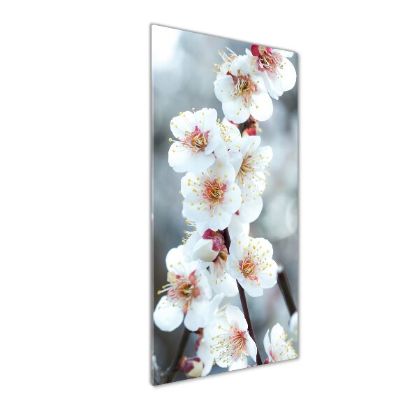 Glass picture wall art Cherry blossoms