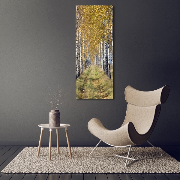 Photo printed on glass Birch forest