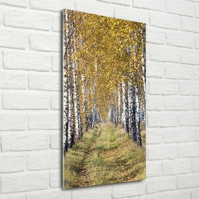 Photo printed on glass Birch forest