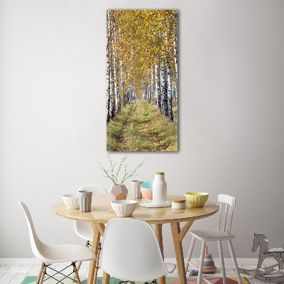 Photo printed on glass Birch forest