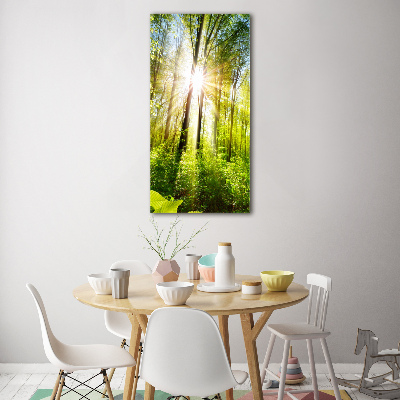 Photo printed on glass The sun in the forest