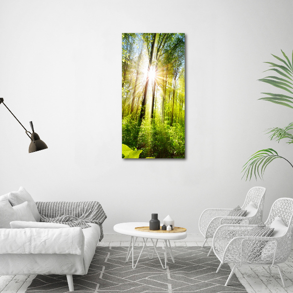 Photo printed on glass The sun in the forest