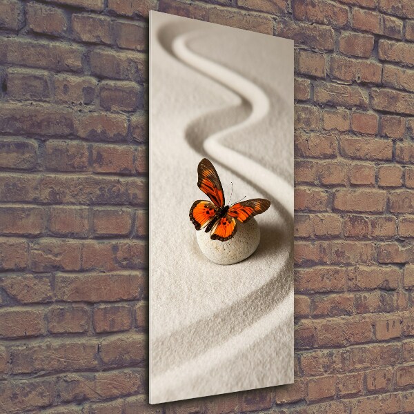 Wall art on glass Zen stone and butterfly