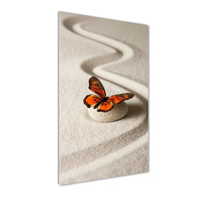 Wall art on glass Zen stone and butterfly