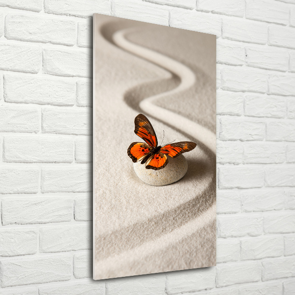 Wall art on glass Zen stone and butterfly