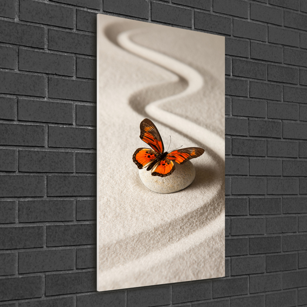 Wall art on glass Zen stone and butterfly