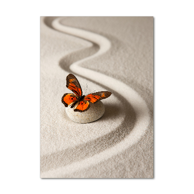 Wall art on glass Zen stone and butterfly