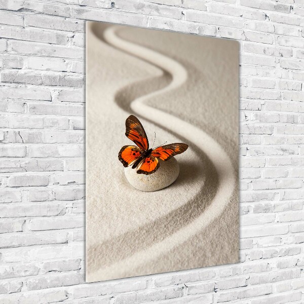 Wall art on glass Zen stone and butterfly