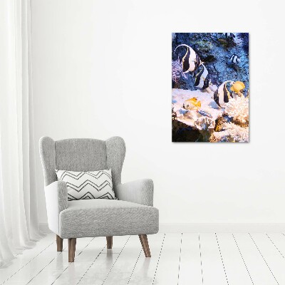 Photo printed on glass Coral reef