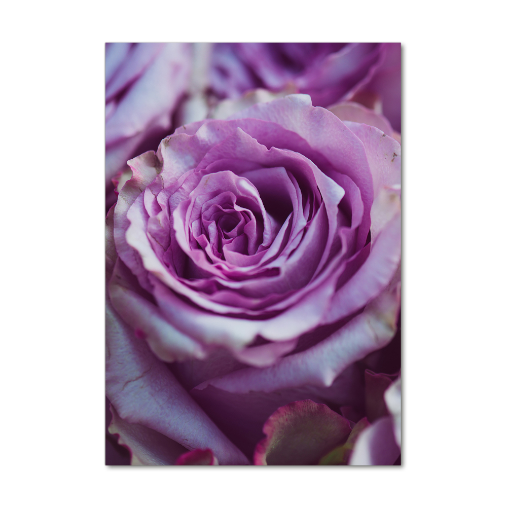 Printed glass wall art Purple roses