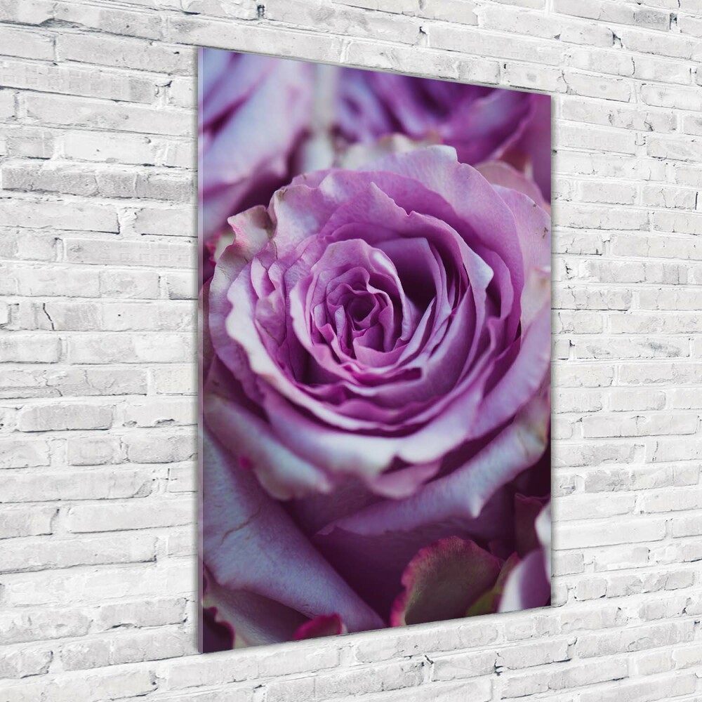 Printed glass wall art Purple roses