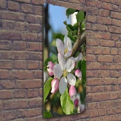 Photo printed on glass Cherry blossoms