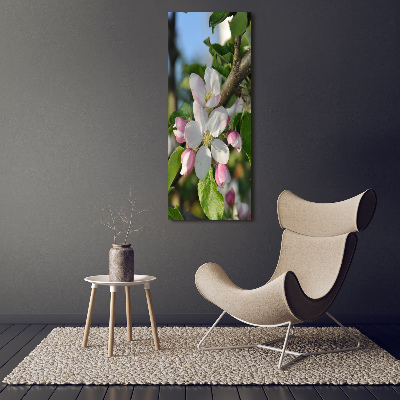 Photo printed on glass Cherry blossoms