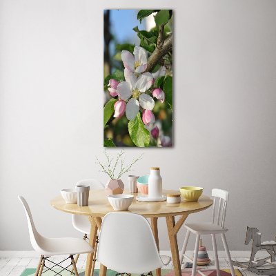 Photo printed on glass Cherry blossoms