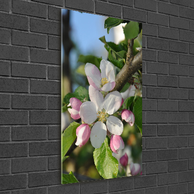 Photo printed on glass Cherry blossoms