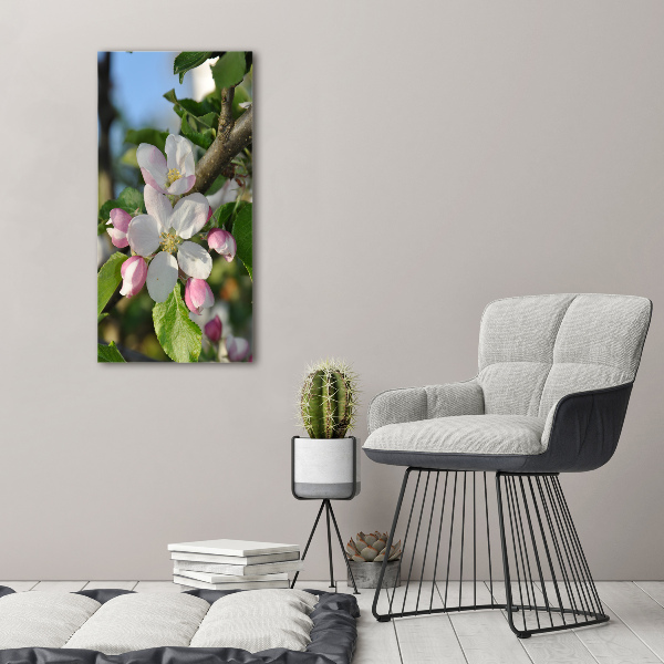 Photo printed on glass Cherry blossoms