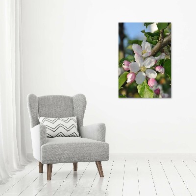 Photo printed on glass Cherry blossoms