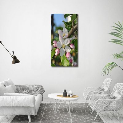 Photo printed on glass Cherry blossoms