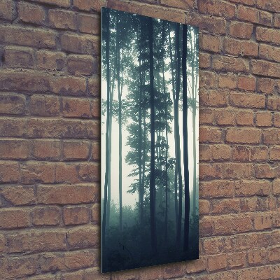 Photo printed on glass Fog in the forest