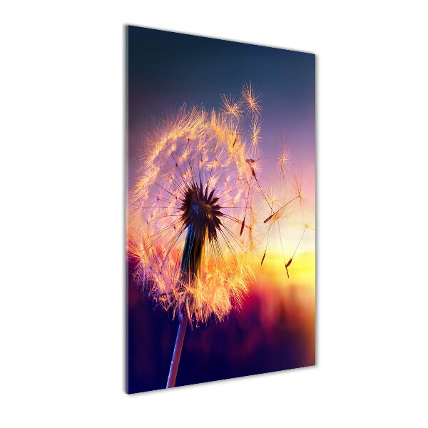 Printed glass wall art Dandelion