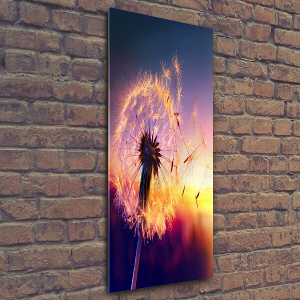 Printed glass wall art Dandelion